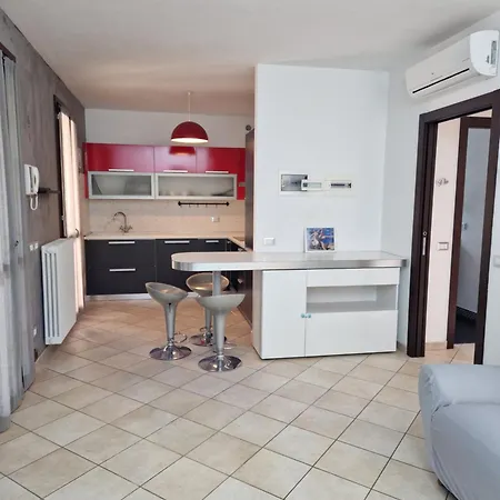 Mimosa Reggio Emilia
