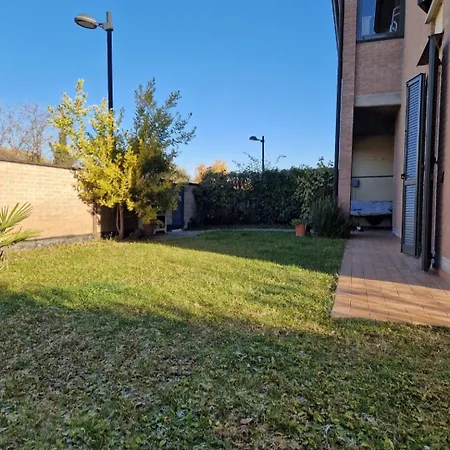 Mimosa