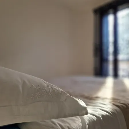 Mimosa רג'ו אמיליה