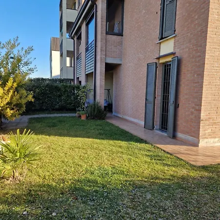 Mimosa * Reggio Emilia