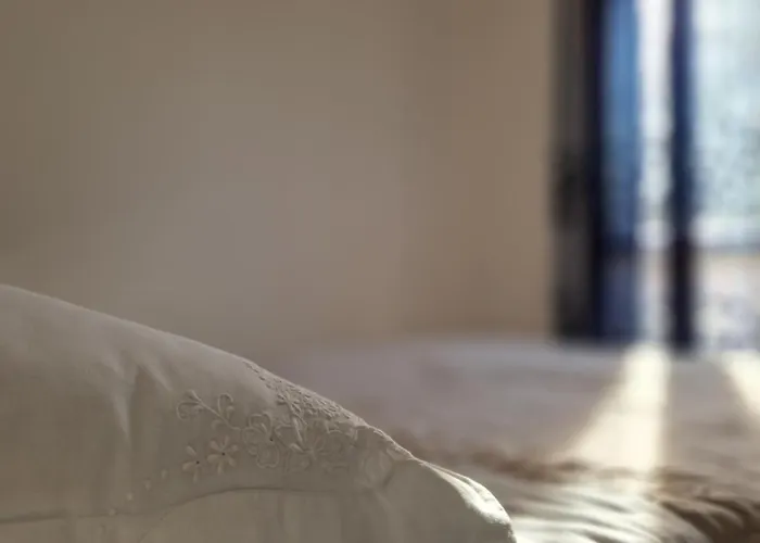 Mimosa רג'ו אמיליה